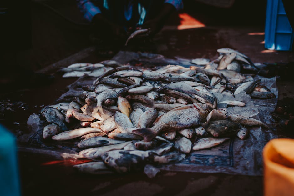 A vibrant assortment of fresh fish displayed at a local market in Dubai, UAE.